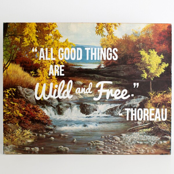 Vintage Repurposed Print, Quote, 16x20"  Travel Art,  Emerson Wild and Free, Wanderlust, Type