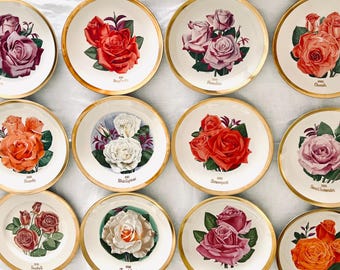 GORGEOUS 12 All America ROSE plates GOLD trim