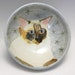 see more listings in the Pets section