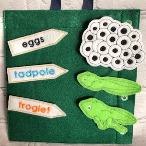 Frog Lifecycle Quiet Play Page