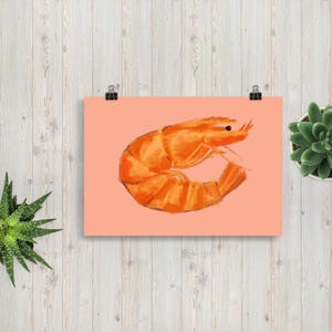 Cute Quirky Shrimp Poster Art