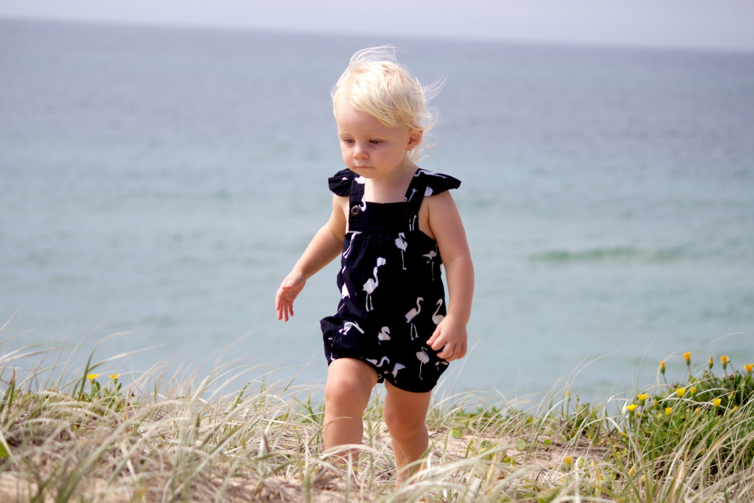 Baby girl shop flamingo romper