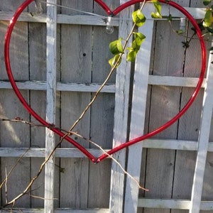 May include: A red heart-shaped hoop is attached to a white wooden fence. The hoop is made of metal and is about 3 feet in diameter. The fence is made of vertical slats with horizontal rails. There are some green leaves and branches in the background.
