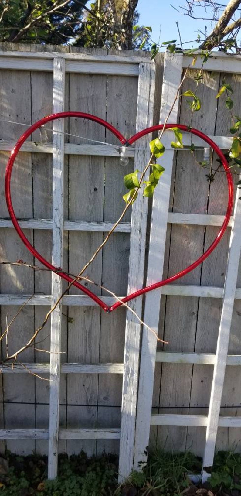 May include: A red heart-shaped hoop is attached to a white wooden fence. The hoop is made of metal and is about 3 feet in diameter. The fence is made of vertical slats with horizontal rails. There are some green leaves and branches in the background.