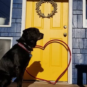 May include: A black Labrador Retriever dog wearing a "New England Patriots" collar sits in front of a yellow door with a wreath and a red heart-shaped decoration.