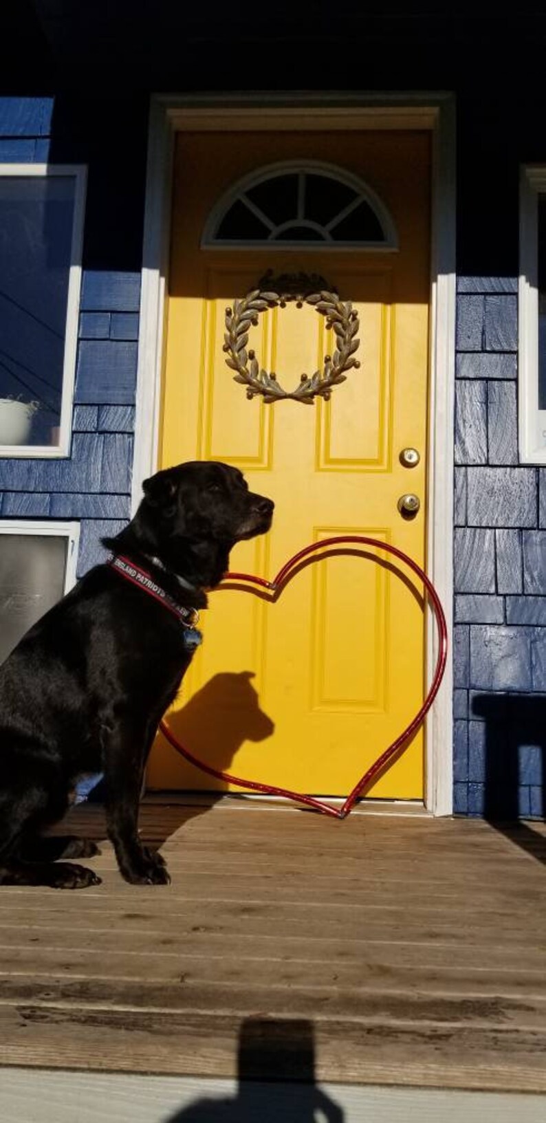May include: A black Labrador Retriever dog wearing a "New England Patriots" collar sits in front of a yellow door with a wreath and a red heart-shaped decoration.