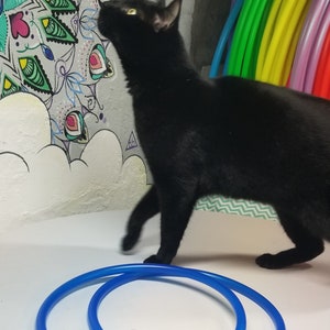 Puede incluir: Un gato negro camina junto a dos aros de plástico azul sobre una superficie blanca. El gato mira hacia arriba y hacia la izquierda. Los aros están apilados uno encima del otro.
