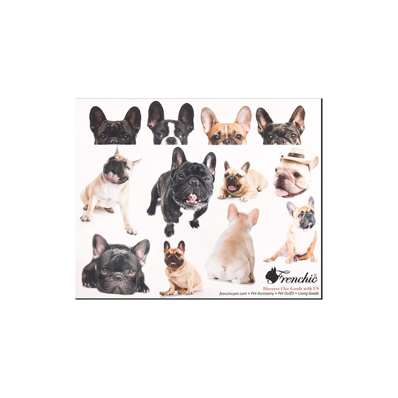 French Bulldog Photo Vivid Image Sticker Kawaii Dogs for paper craft and agenda or decoration Good seals