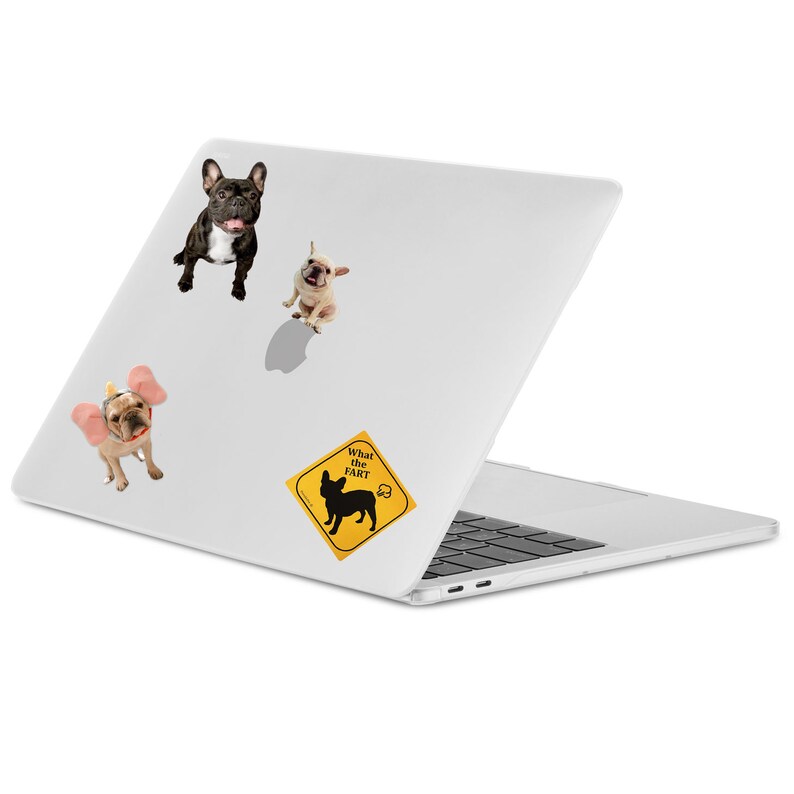 French Bulldog Photo Vivid Image Sticker Kawaii Dogs for paper craft and agenda or decoration Good seals