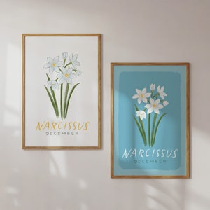 Narcissus / Paperwhite - December Birth Month Flower - Floral Illustration Art Print