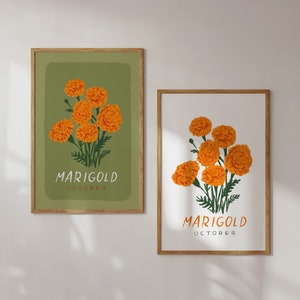 Marigold - October Birth Month Flower - Floral Illustration Art Print