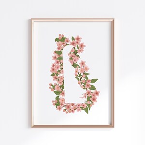 Delaware State Print - Peach Blossom // State Map Silhouette