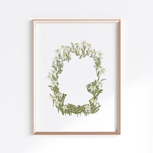 Germany Print - Edelweiss Flowers // Country Map Silhouette