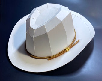 cowboy hat travel case