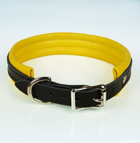 21 padded leather large dog collars uk 21 padded leather large dog collars uk