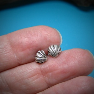 Op de afbeelding: Een paar zilveren oorbellen in de vorm van een schelp. De oorbellen zijn klein en delicaat en hebben een eenvoudig, elegant ontwerp.