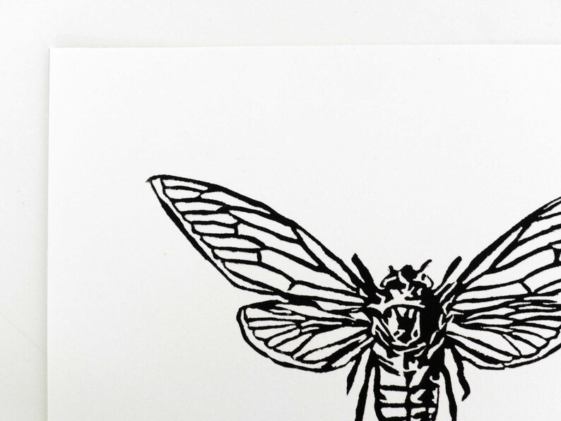 Cicada Print image 2