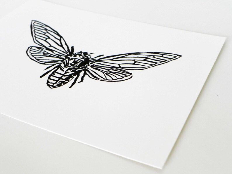 Cicada Print image 3