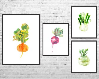 May include: Four watercolor paintings of different vegetables. The first painting shows a turnip with green leaves. The second painting shows a beet with green leaves. The third painting shows a fennel bulb with green leaves. The fourth painting shows a kohlrabi with green leaves.