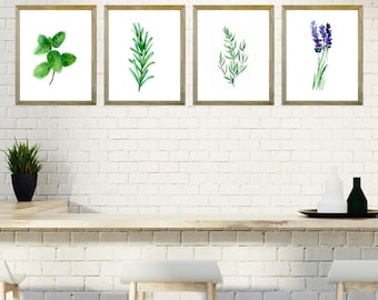 Watercolor Herbs Art Prints: Kitchen Wall Decor Set of 4