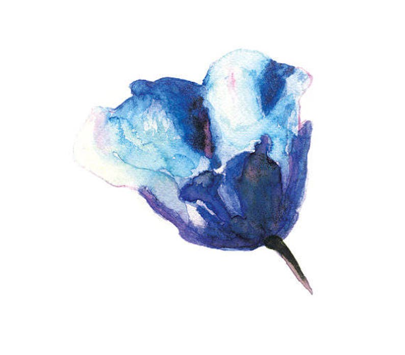 May include: A watercolor painting of a blue flower with white and purple accents. The flower is painted in a realistic style and has a delicate, ethereal quality.