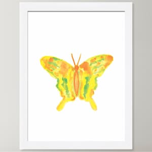 Amazon.co.jp: 蝶の標本 キプリスモルフォ Morpho cypris