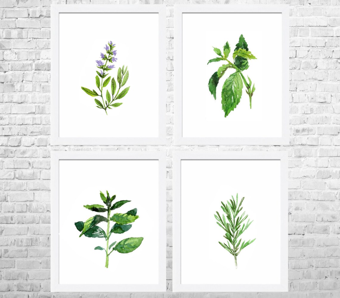 Aquarell Kräuter Drucke Küche Wand Kunst Set von 4 Drucke Etsy