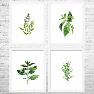 Watercolor Herbs Prints, Kitchen Wall Art Set of 4 Prints, Kitchen Poster Print, Food Art, Kitchen Paintings, Herbs Watercolor Painting