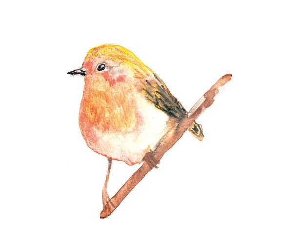 Bird Art Birds Watercolor Print Bird Wall Decor Bird Print | Etsy