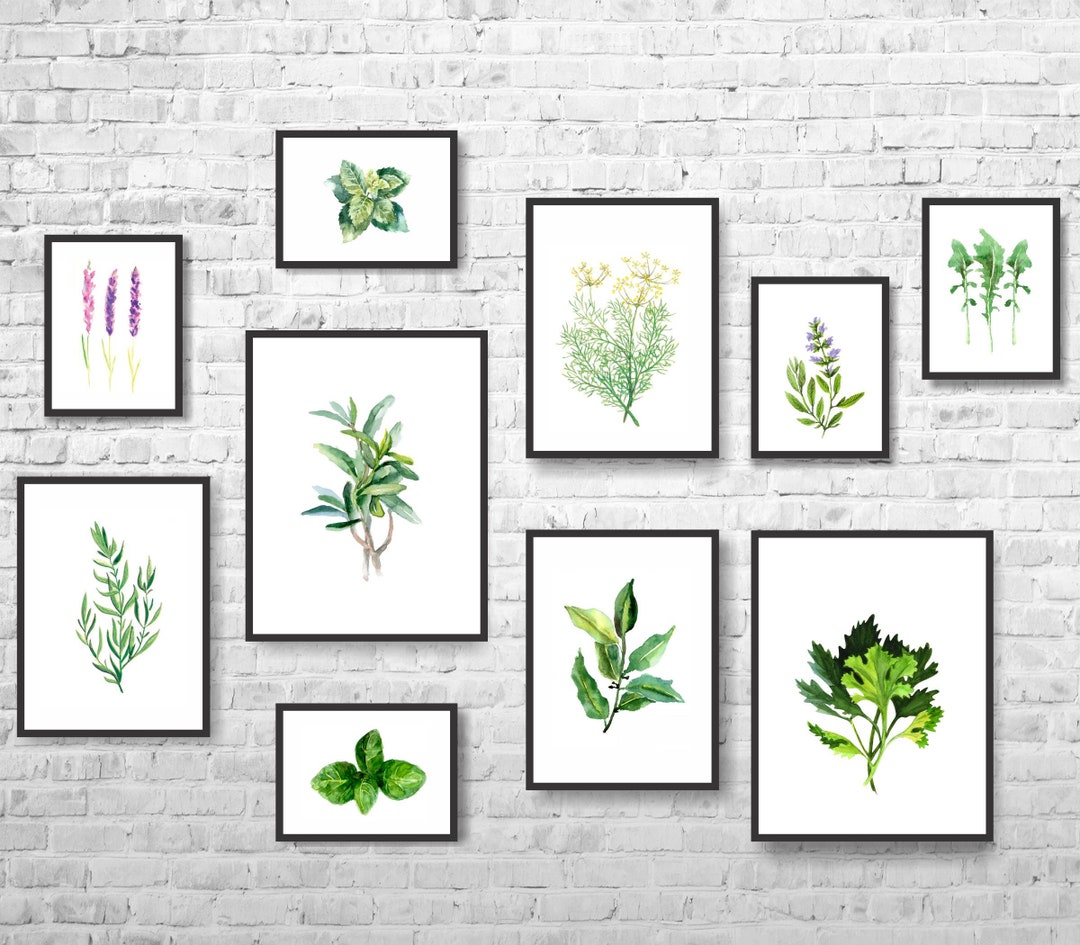 Herbs Watercolor Painting, Kitchen Wall Art Set of 10 Prints, Kitchen ...