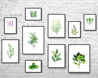 Herbs Watercolor Painting, Kitchen Wall Art Set of 10 Prints, Kitchen Poster Print, Watercolor Herbs Prints, Food Art, Kitchen Paintings