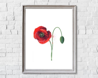 Red Poppy Watercolor Painting: Abstract Floral Art Print