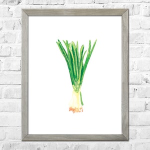 Spring Onions Art-Watercolor Print-Kitchen Wall Art-Onoin Art Print-Vegetable Watercolor Painting-Kitchen Wall Decor-Wall Art Kitchen