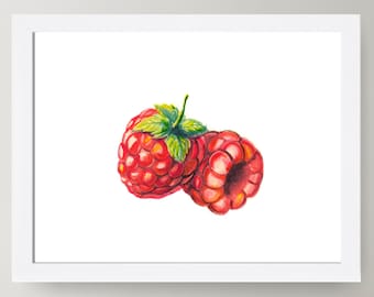 Pintura de acuarela de frambuesa: Impresión de arte mural de cocina botánica