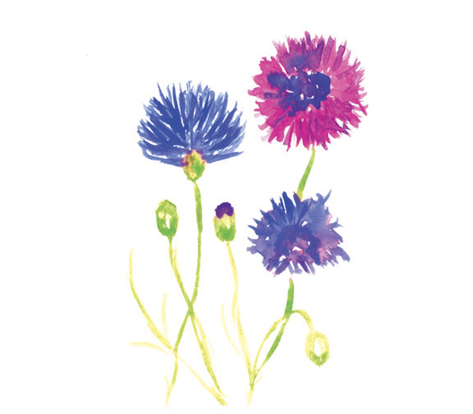 Watercolor Art Print Set of 3 Flowers and Butterfly Colorful Etsy