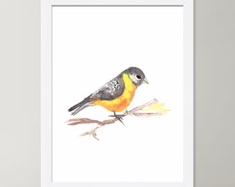 Watercolor Bird Art Print: Archival Giclee Nursery Wall Decor