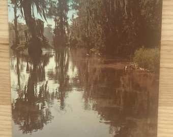 Wakulla Springs Hotel Vintage Postcard, Florida's Natural Attraction Souvenir Post Card, Tourism Advertising Memorabilia
