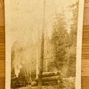May include: A black and white vintage photograph of a steam locomotive pulling logs through a forest. The train is partially obscured by smoke and trees. The logs are stacked high on a flatbed car. The photo is taken from a low angle, looking up at the train.