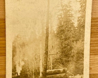 Antique Logging Postcard, Sepia Real Photo Transporting Timber by Train Post Card, Collectible Historic Americana Memorabilia Souvenir