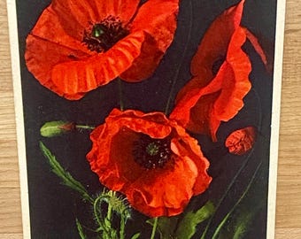 Vintage Red Corn Poppies Postcard, Botanical Print Collectible Post Card, Printed in Switzerland, Poppy Lover Gift