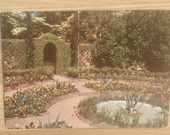 Walled Garden at Killearn Gardens Tallahasse Fl Postcard, Americana Toursim Advertising Souvenir Memoralibilia Post Card