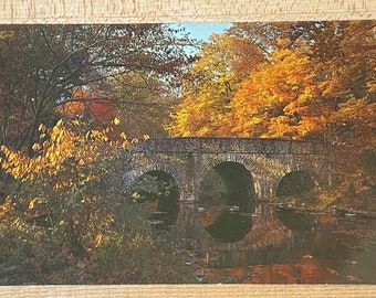 Washington Crossing State Park Vintage Postcard, Bucks County PA, Autumn in the Wildflower Preserve Unposted Advertising Souvenir Ephemera