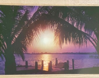 Beautiful Florida Sunset Postcard, Palm Trees, Boat Dock and Ocean View Advertising Travel Souvenir Ephemera Vintage Post Card
