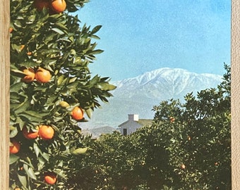 Mt Baldy Framed by Orange Trees Vintage Postcard, Union 76 Advertising Souvenir Ephemera, Collectible Union Oil Company Unposted Post Card