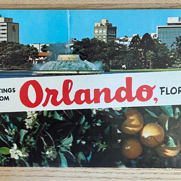 Florida Souvenir Etsy