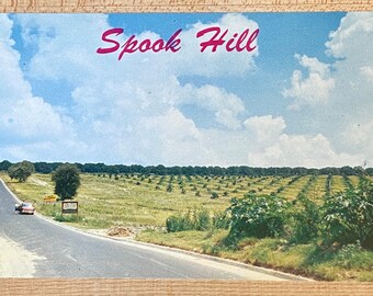 Legend of Spook Hill Vintage Postcard, Lake Wales Florida Advertising Souvenir Ephemera, Photo by Robert F Wasman Unposted Post Card