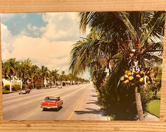 Hollywood Boulevard Hollywood Florida Postcard, Classic Cars and Palm Trees Souvenir Memorabilia Post Card, Collectible Unposted Ephemera