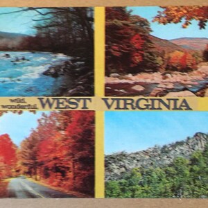 May include: A vintage postcard featuring four scenic views of West Virginia. The top left image shows a river flowing through a forest. The top right image shows a river flowing through a forest with fall foliage. The bottom left image shows a road lined with trees in fall foliage. The bottom right image shows a rocky mountainside with trees.