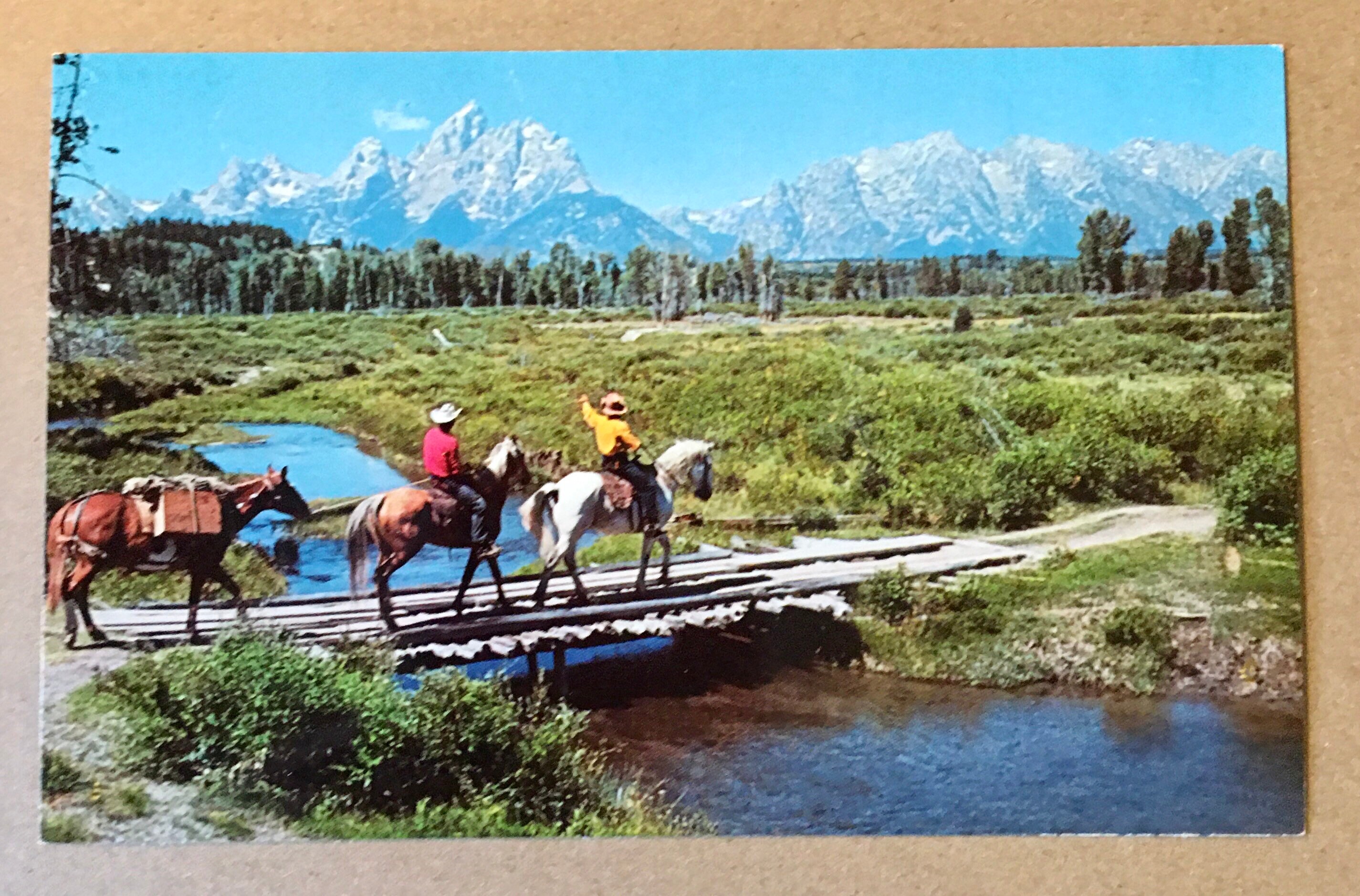Lance Mountain - Etsy