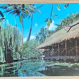 The Willows Honolulu Hawaii Vintage Postcard, Unposted Advertising Souvenir Ephemera Hawaiian Atmosphere, Paper Post Card Collector Gift